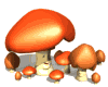 mushrooms_happy_md_wht.gif